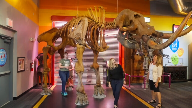 Ripley’s Believe It or Not! Panama City Beach