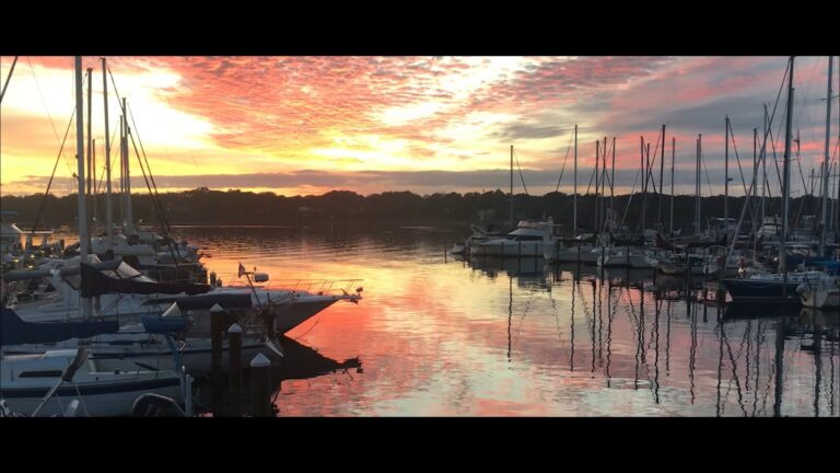 The Wharf 850