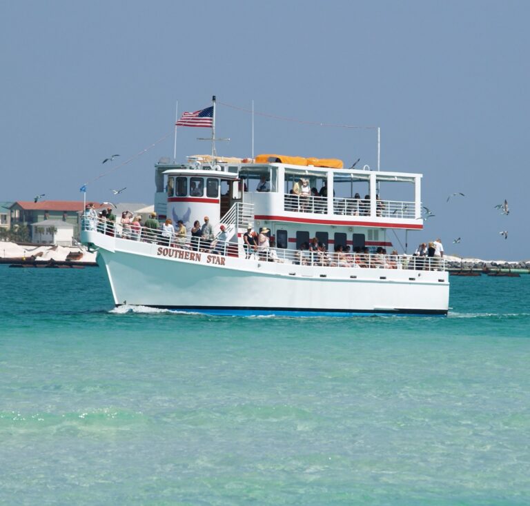 Southern Star Dolphin Cruise