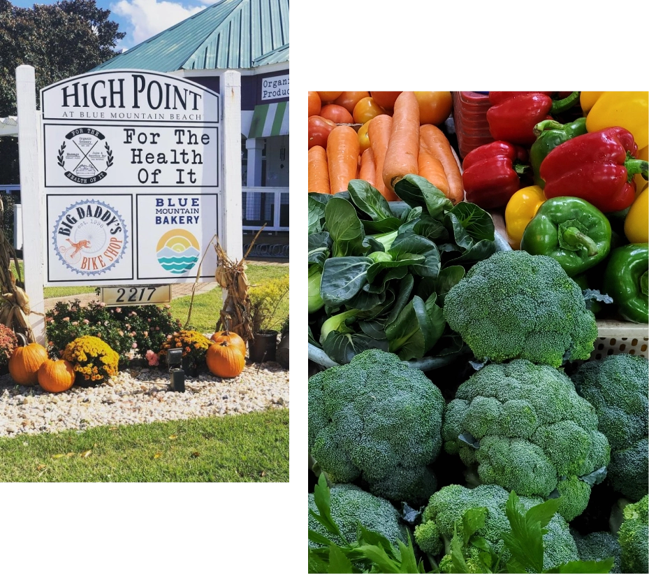 Organic grocery shelves and products inside For The Health Of It in Santa Rosa Beach