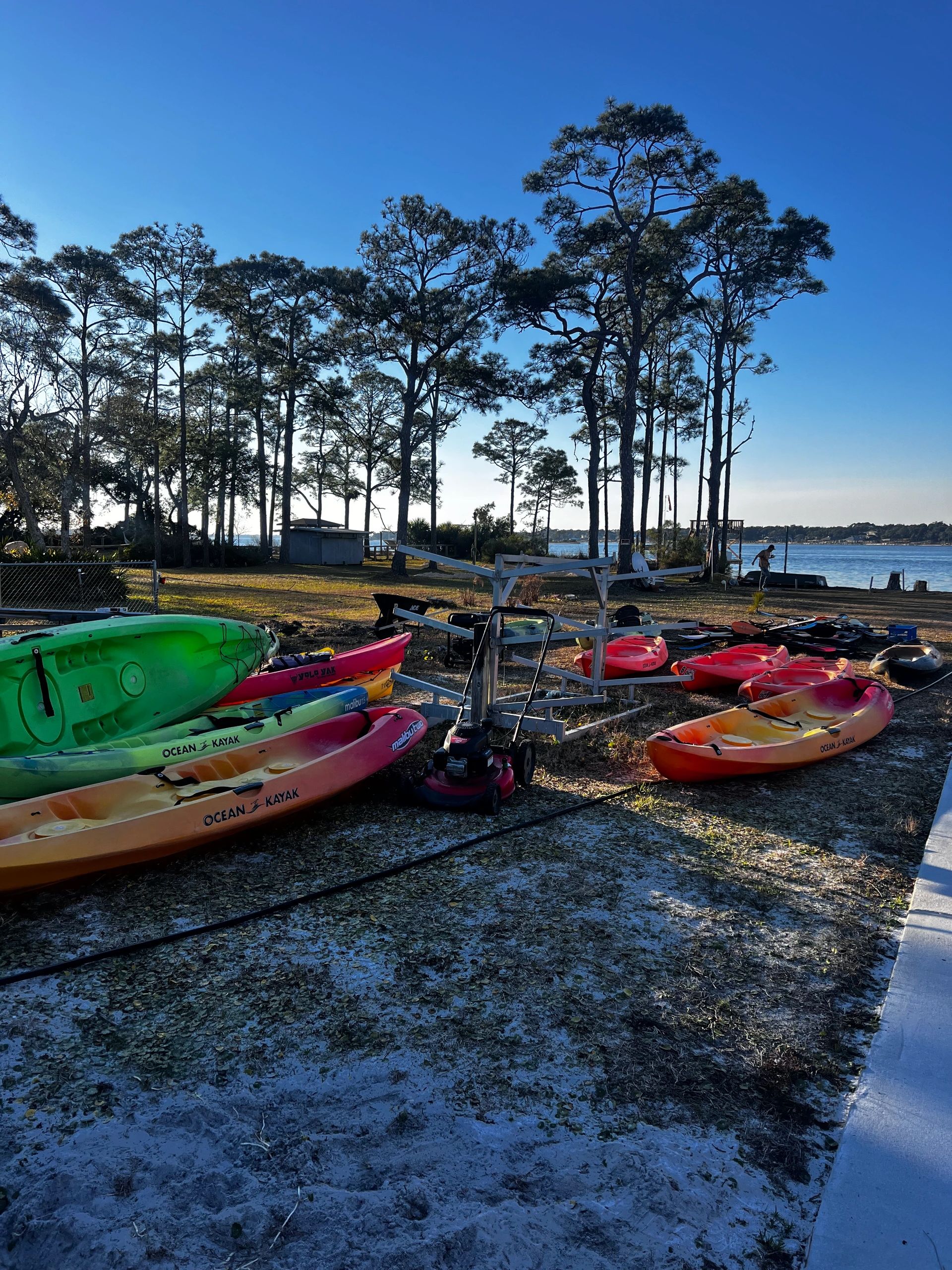 Colorful kayaks lined up on shore at Littleheads Kayak Rentals