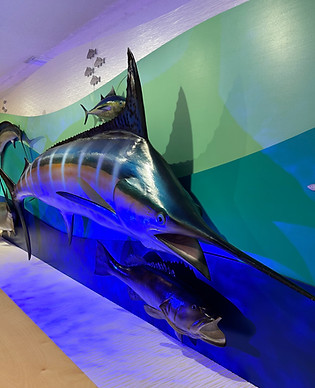 Mike Long Fish Wall exhibit at the Destin History and Fishing Museum
