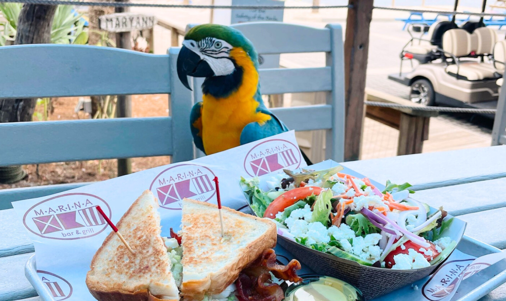 Marina Bar and Grill dining area overlooking Choctawhatchee Bay at Baytowne Marina