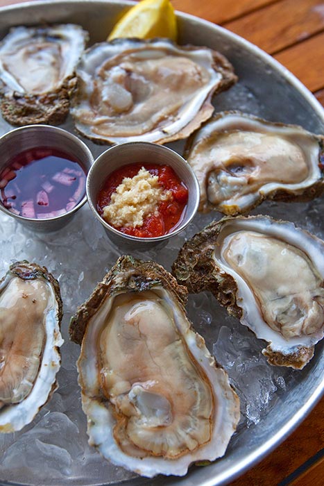 Freshly shucked oysters at The Grand Marlin's oyster bar on Pensacola Beach