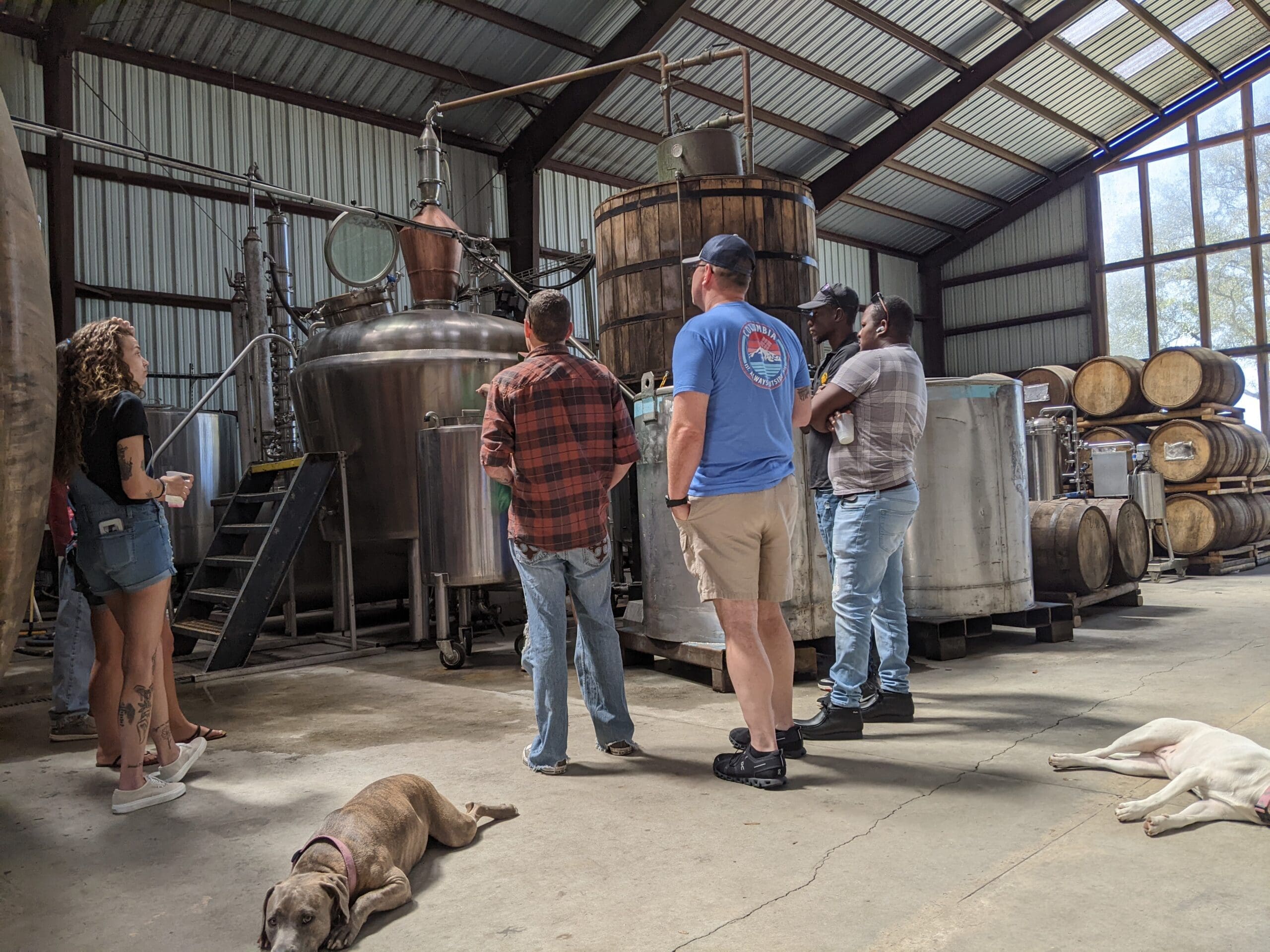 Dogs on a distillery tour at Timber Creek Distillery in Crestview, Florida
