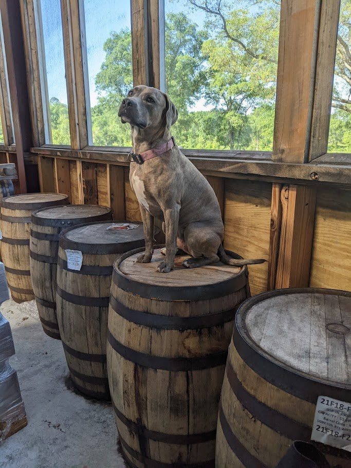 Dog-friendly farm setting at Timber Creek Distillery in Crestview, Florida