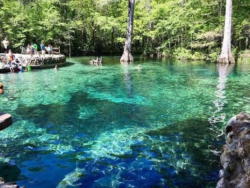 Clear spring water at Ponce de Leon Springs State Park