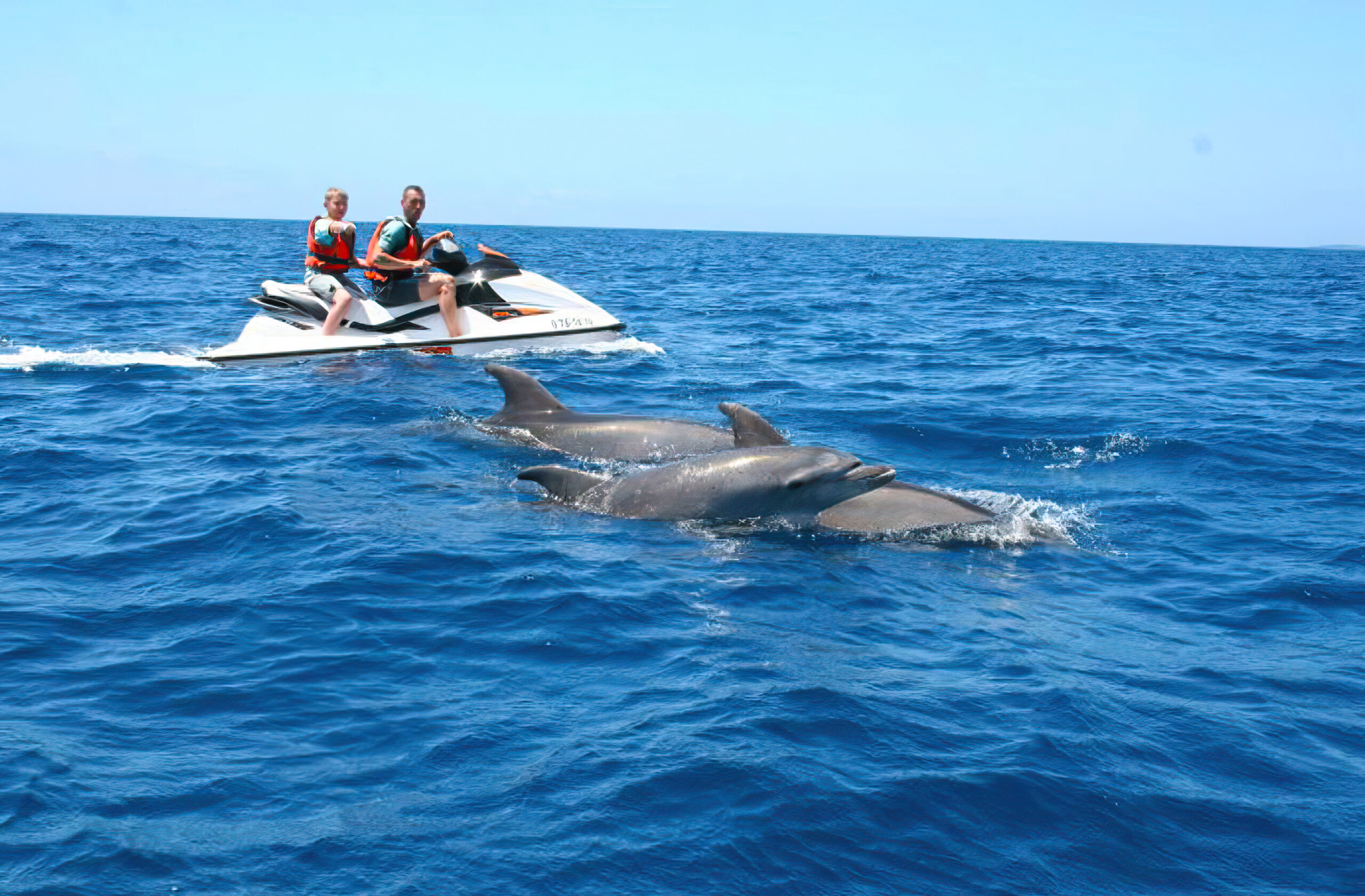 Guided dolphin tour boat operated by Gilligan's Watersports on Destin Harbor