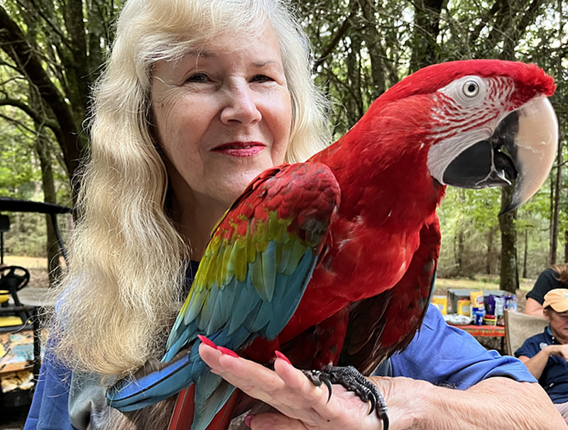 Colorful birds in the walk-through aviary at Emerald Coast Zoo