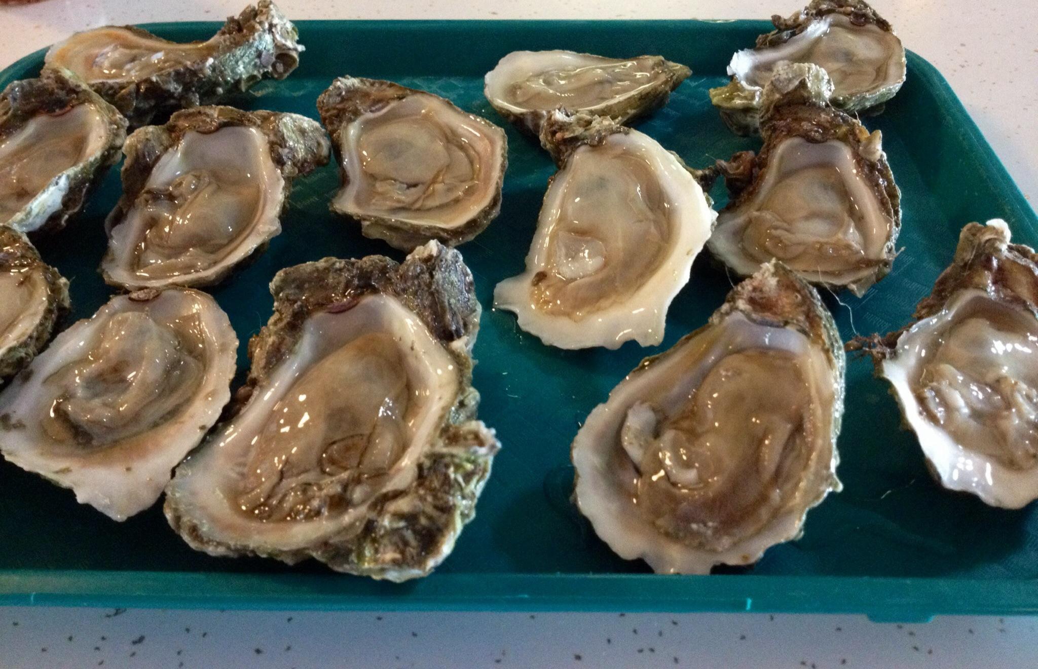 Fresh oysters on ice served at Nick's Seafood Restaurant in Freeport, Florida
