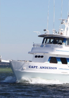 Boats docked at Capt. Anderson's Marina on Grand Lagoon in Panama City Beach
