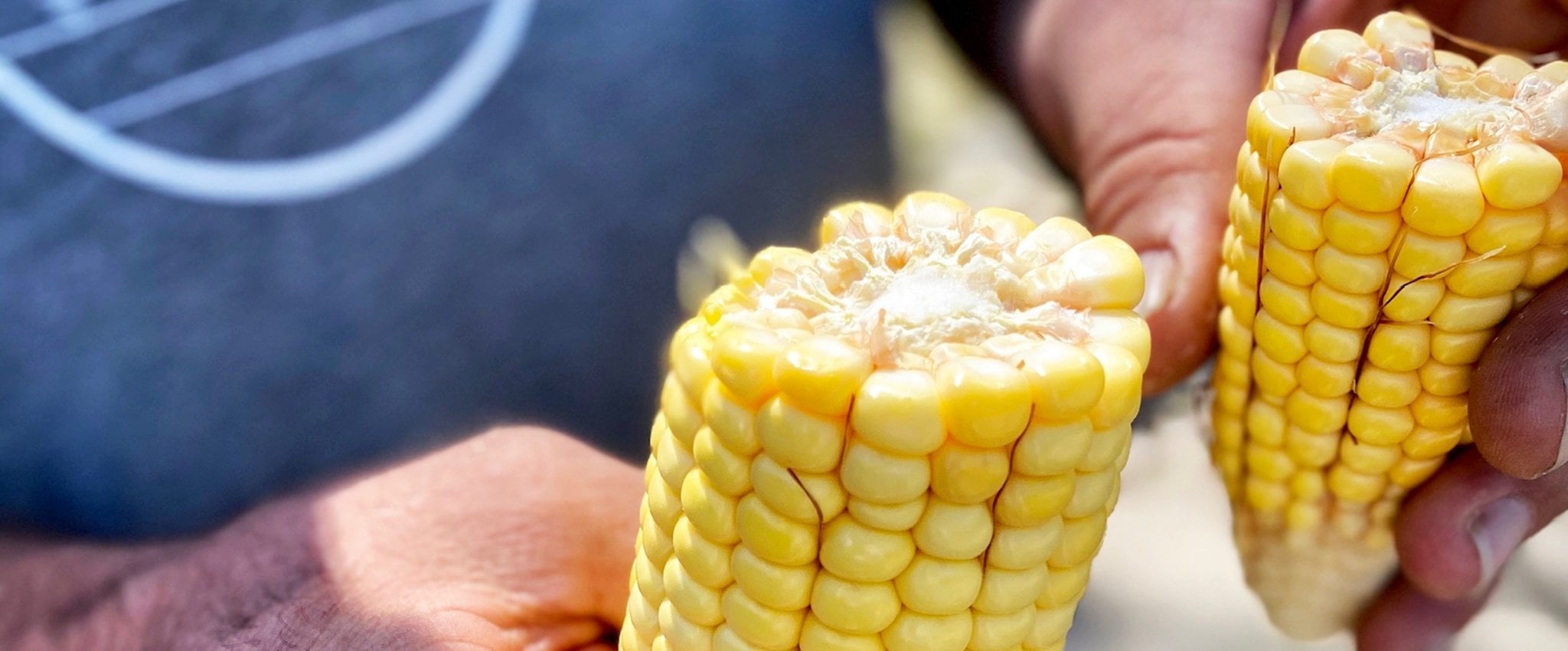 Florida-grown corn used in Distillery 98 spirit production