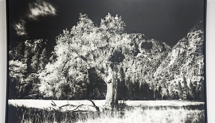 Artwork and framing on display at Marty Campbell Gallery in Gulf Breeze