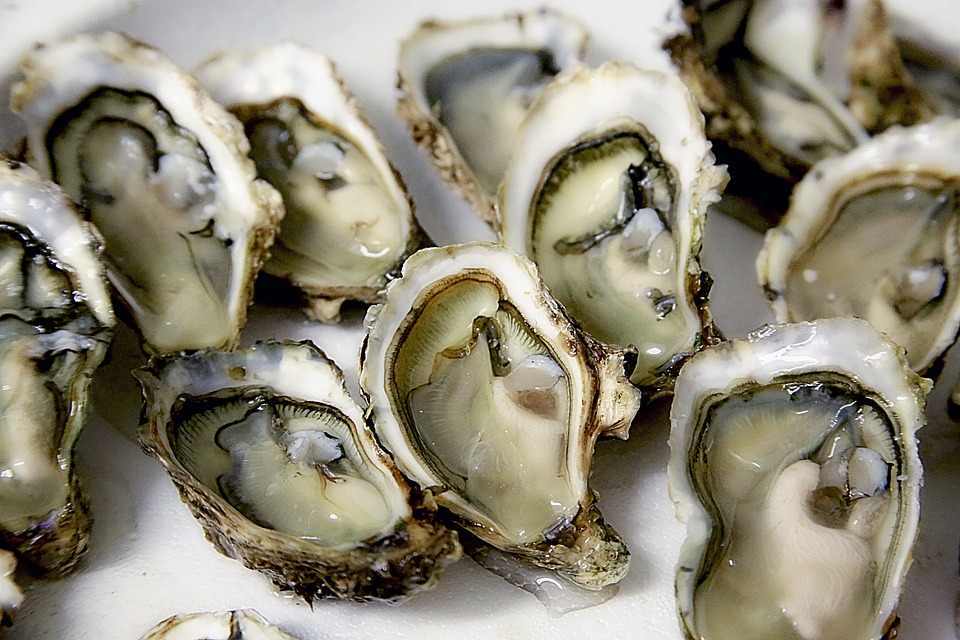 Fresh oysters served at Hightide Restaurant and Oyster Bar near Brooks Bridge
