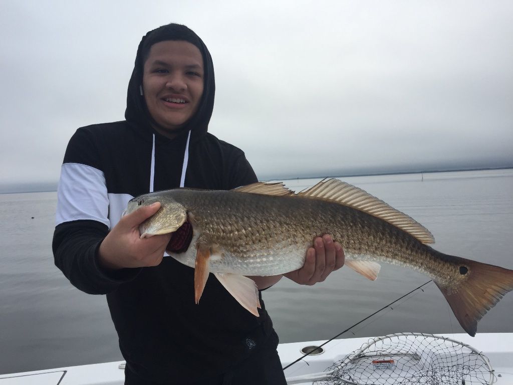 Redfish caught on a Southern Renegade Charters trip near Freeport, Florida