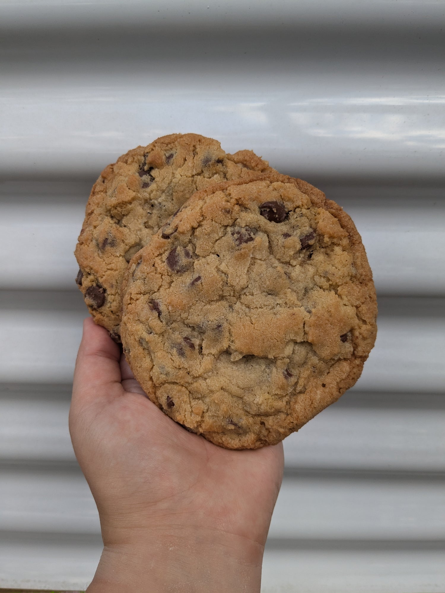 The Little Bluebird Bakery product photo, Freeport, Florida