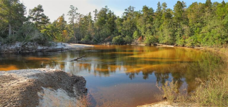 Blackwater River State Forest