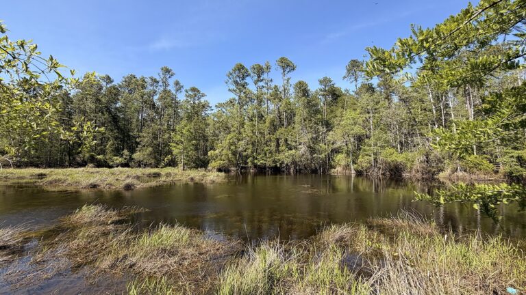 Blackwater River State Park