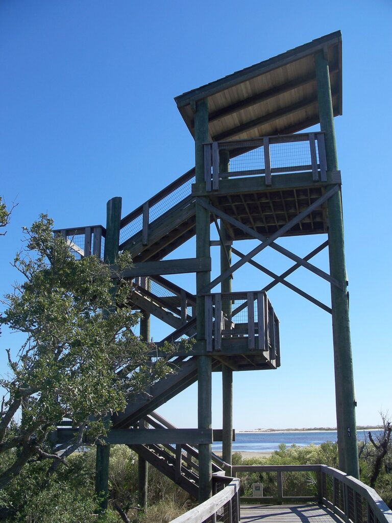 Wooden observation tower rising above the trees at Big Lagoon State Park