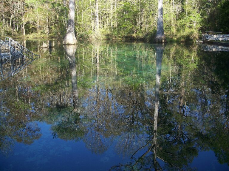Ponce de Leon Springs State Park