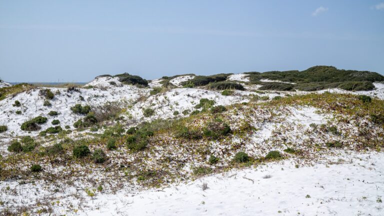 Topsail Hill Preserve State Park