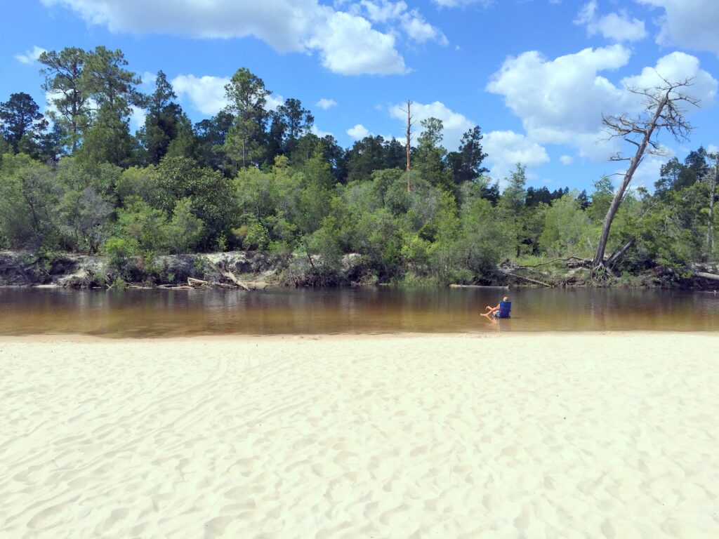 White sandbars along the Blackwater River in Blackwater River State Park