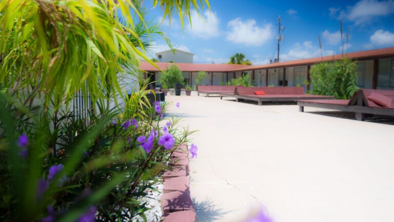 Banana Peel Lodge