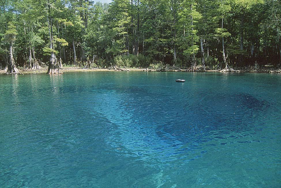 The spring pool at Morrison Springs in Walton County