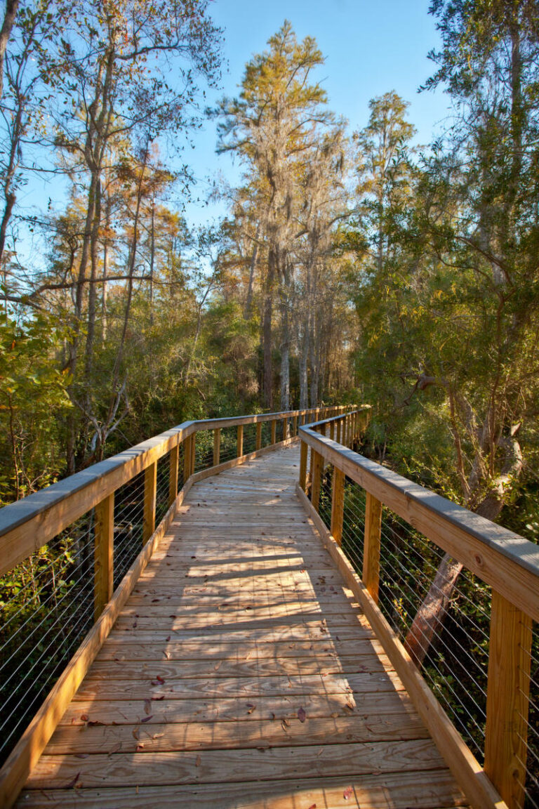 Panama City Beach Conservation Park