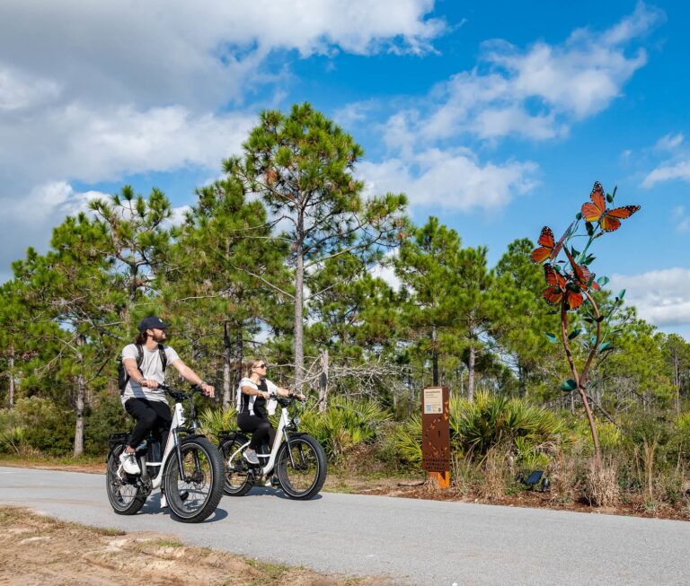 Watersound Monarch Art Trail