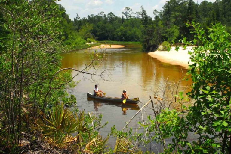 Blackwater Canoe Rental