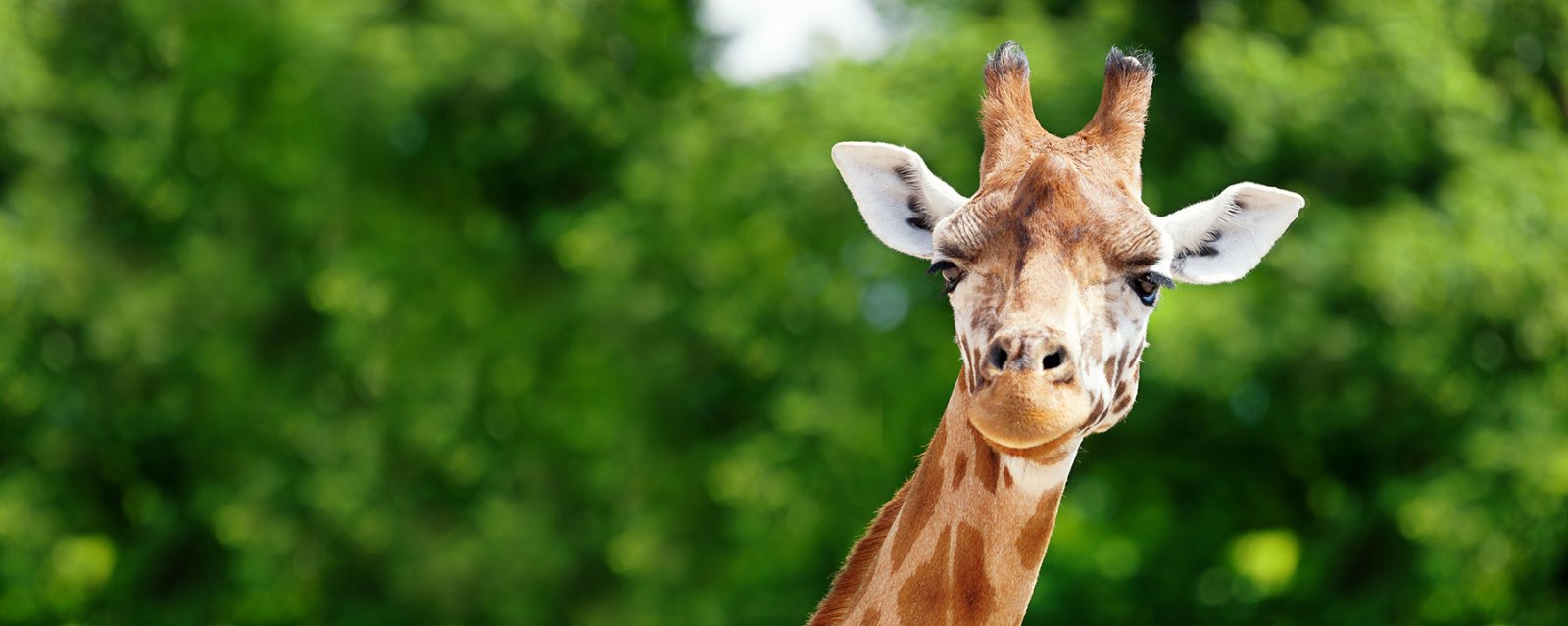 Emerald Coast Zoo Trick or Treat