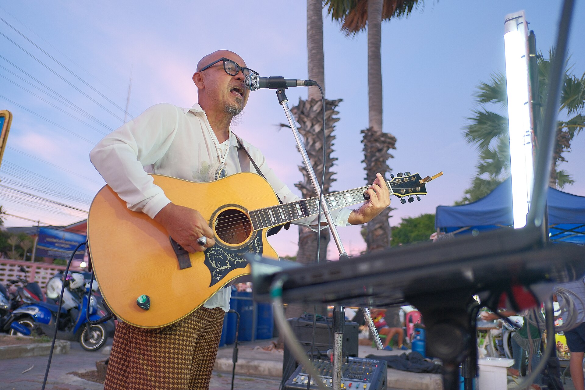 Concerts at The Landing - acoustic musician