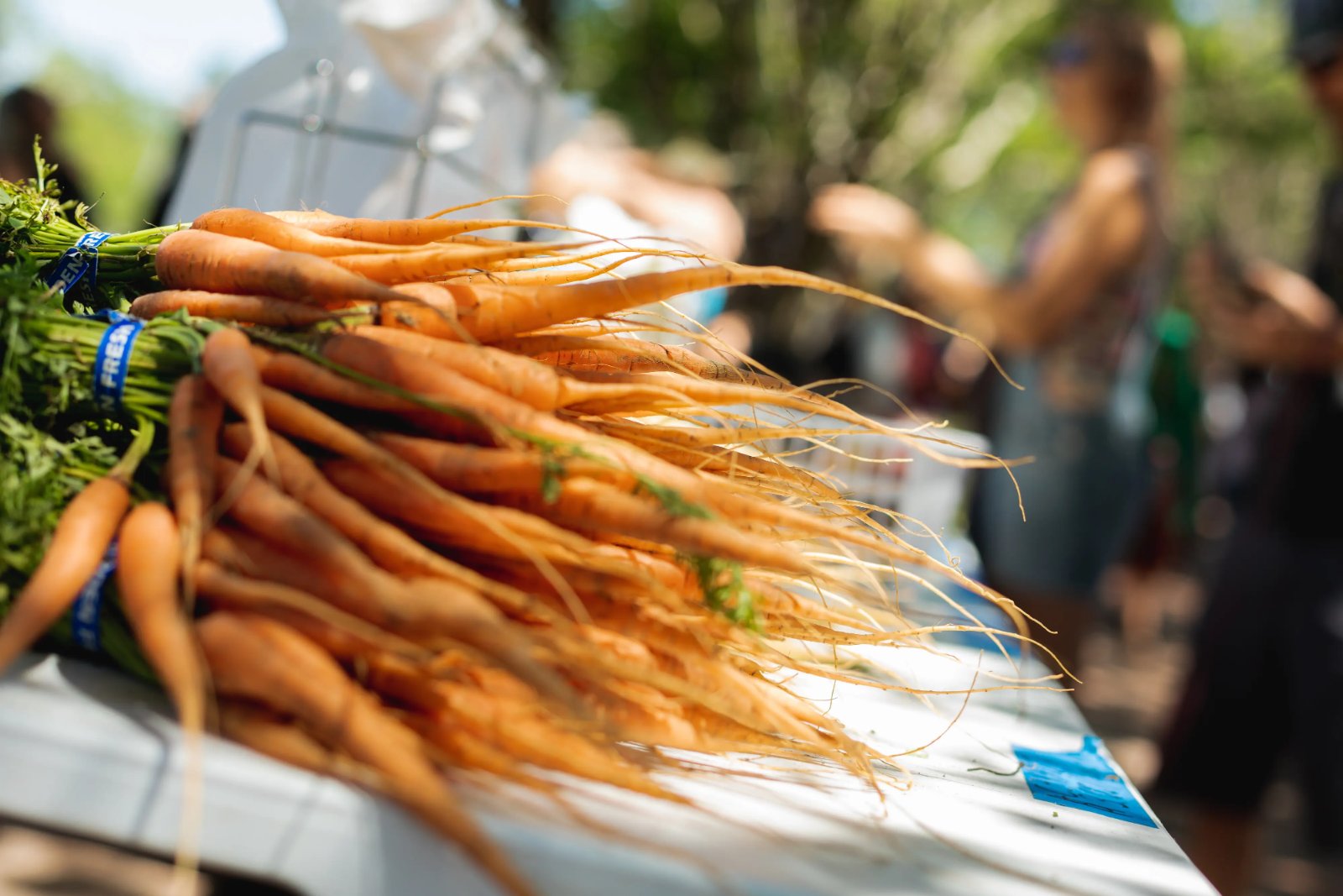 Palafox Market Halloween Market
