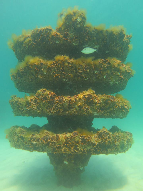 Navarre Beach Marine Park